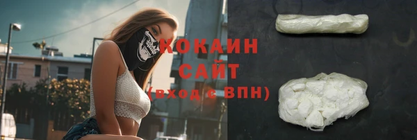 бошки Аркадак