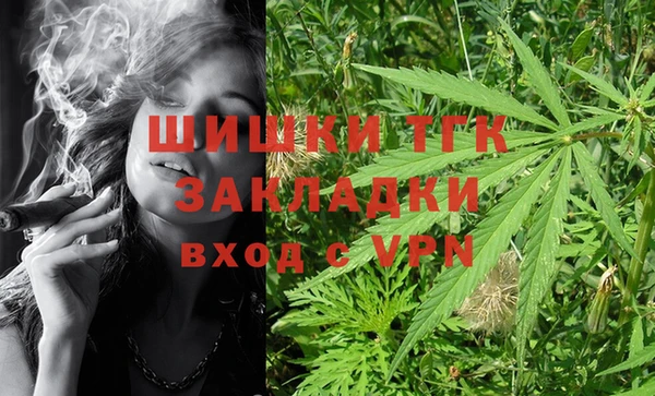 ГАЛЛЮЦИНОГЕННЫЕ ГРИБЫ Арсеньев