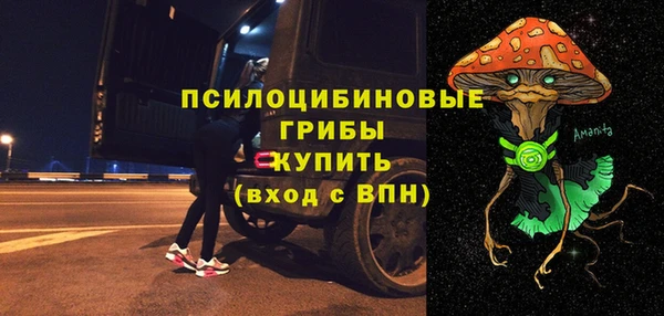 ГАЛЛЮЦИНОГЕННЫЕ ГРИБЫ Арсеньев