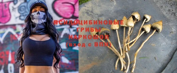 молекула духа Армянск